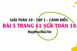 Giải bài 5 trang 61 Toán 10 Tập 1 SGK Cánh Diều